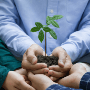 Medioambiente y Sostenibilidad